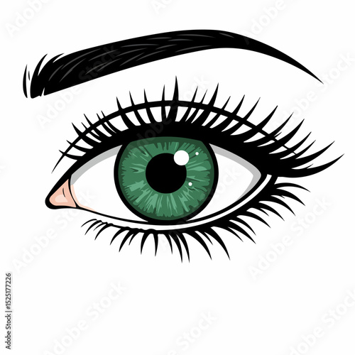 Close-up illustration of green eye with long lashes and defined eyebrow. Detailed drawing of eye anatomy showing iris, pupil, and eyelid.