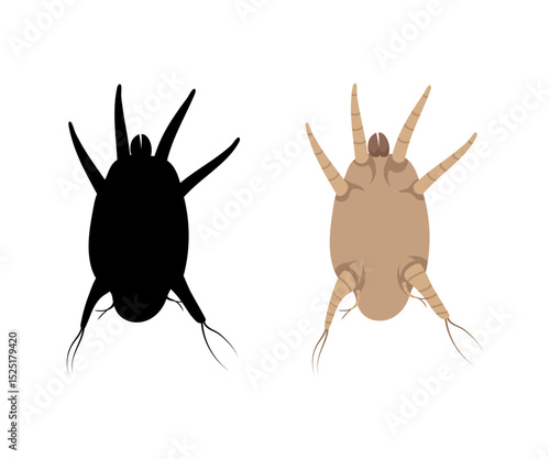 Ear mite causing otodectes cynotis infection and its black silhouette