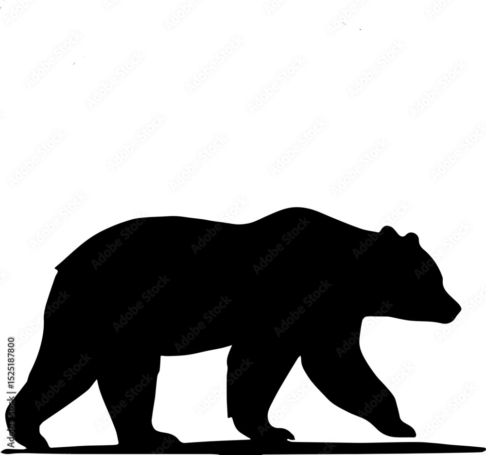 Fototapeta premium vector illustration of a bear