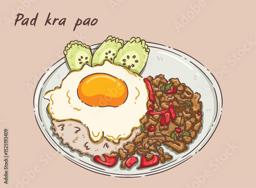 thai food Pad kra pao vector