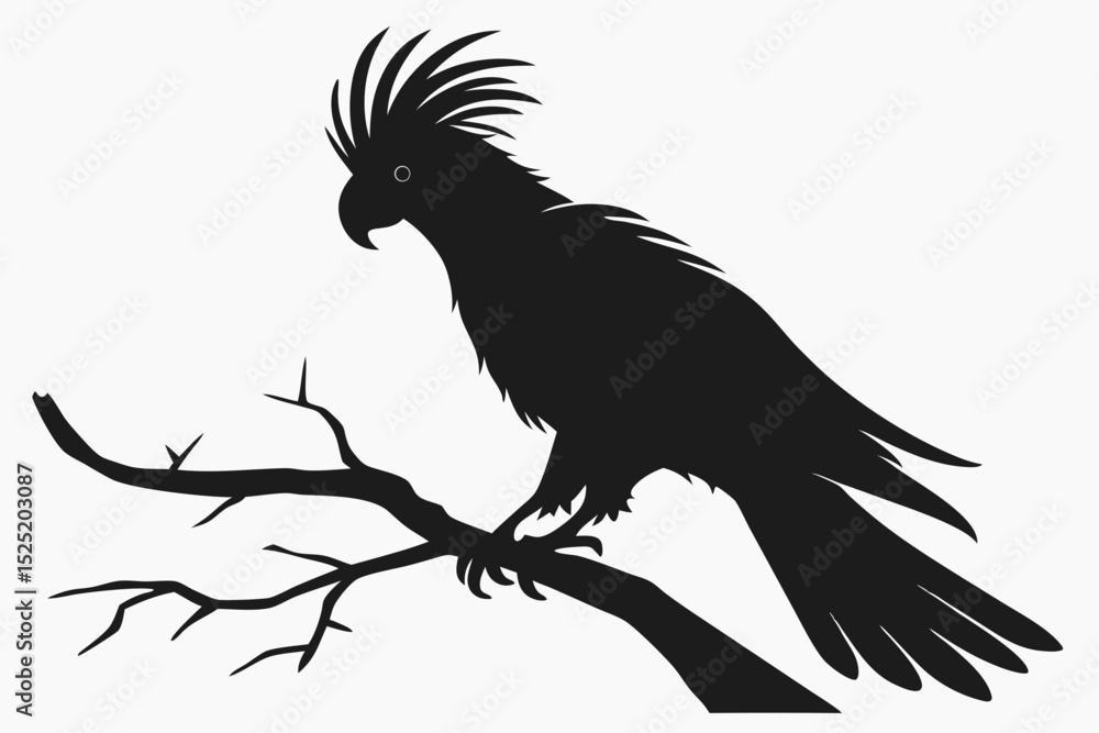Fototapeta premium cockatoo sihouette black vector