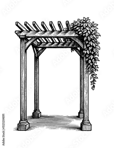 Illustration of a pergola with vine, engraving art, garden decor, outdoor architecture.