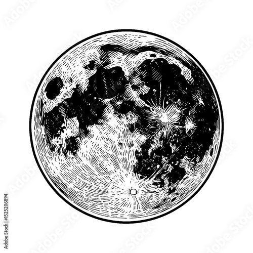 Detailed engraving of the full moon with craters and lunar surface features isolated on white