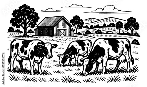 Cows Grazing in a Pasture Near a Barn in Detailed Woodcut Style Illustration