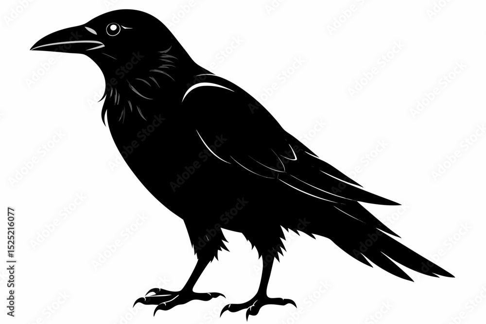 Obraz premium crow sihouette black vector