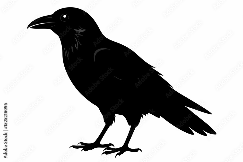 Fototapeta premium crow sihouette black vector