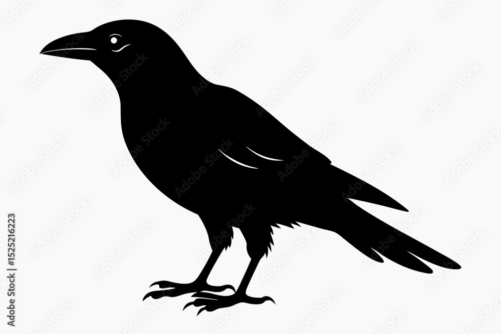 Obraz premium crow sihouette black vector