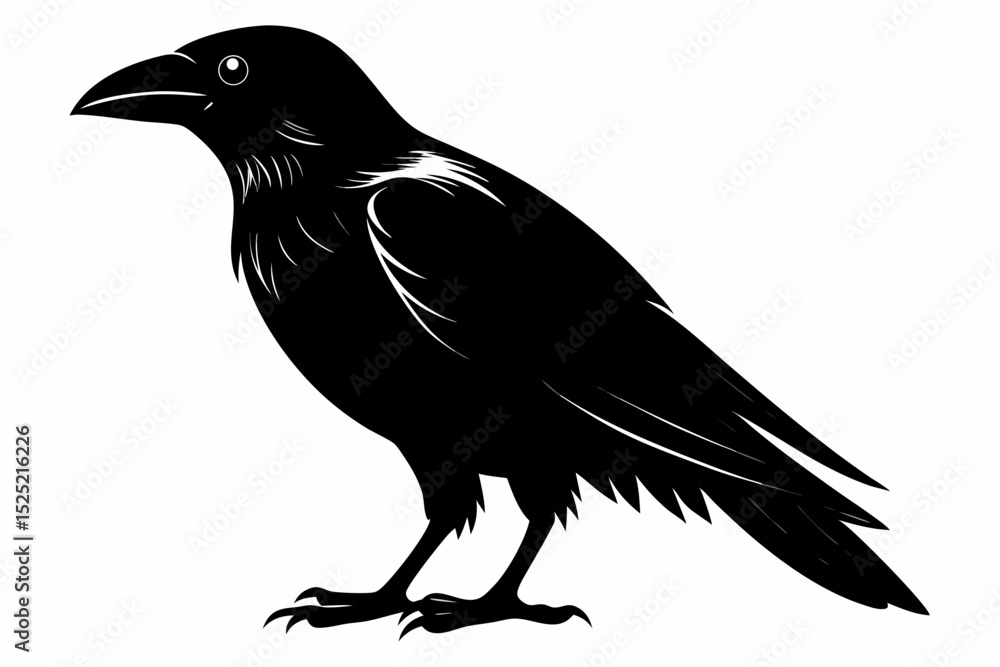 Obraz premium crow sihouette black vector