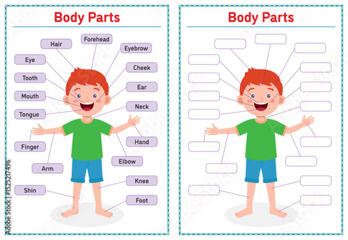 Cartoon illustration Human Body Parts Diagram activities Worksheet for Kindergarten student, Kids and Teacher