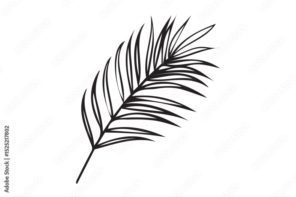 Fototapeta premium Palm tree leave hand drawn black vector illustration icon on white background