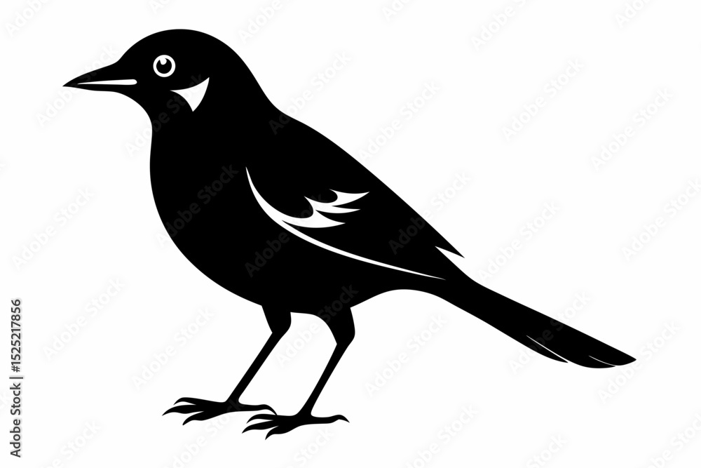 Obraz premium jay bird sihouette black vector