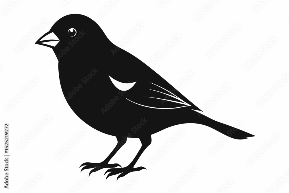 Obraz premium finch sihouette black vector