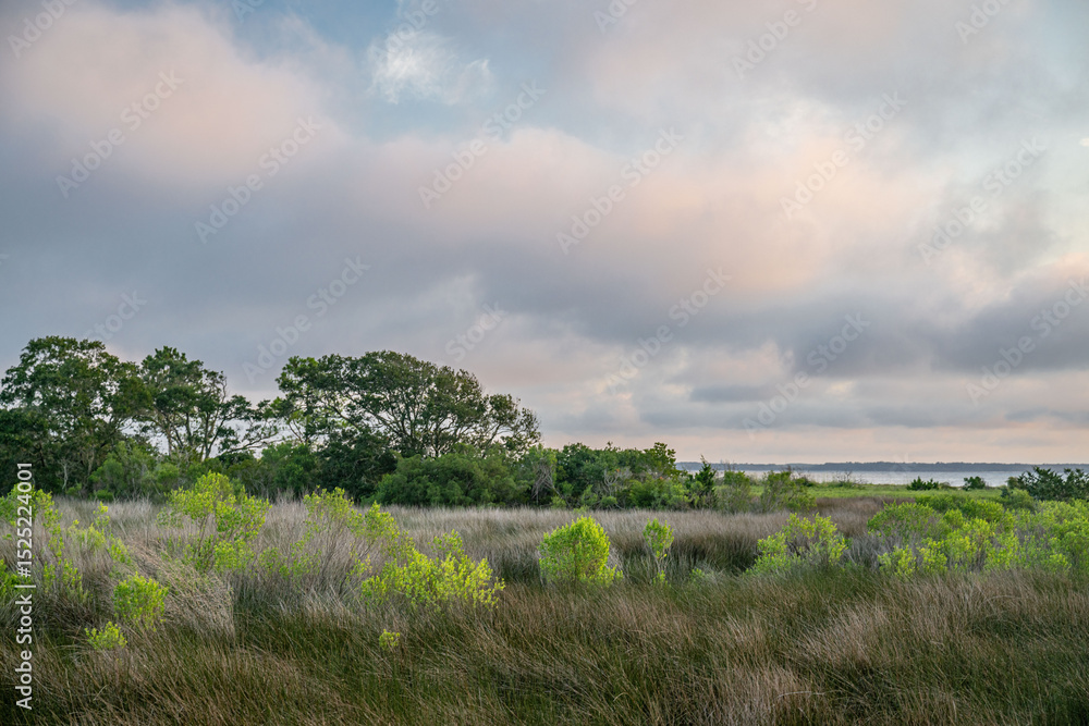 Fototapeta premium hilton head island, south carolina