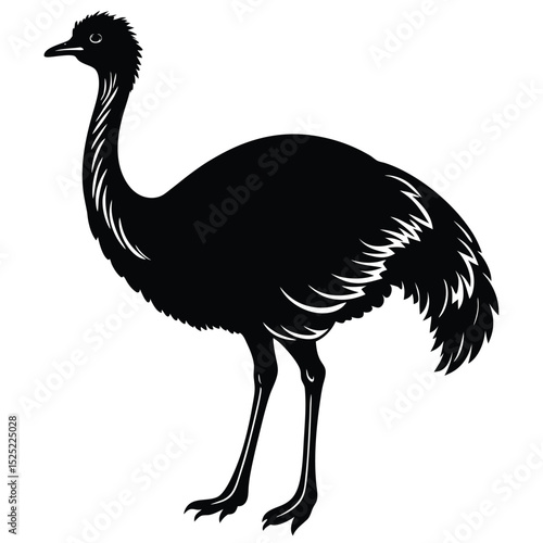 emu vector sihouette