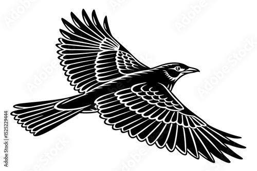 thrush sihouette black vector