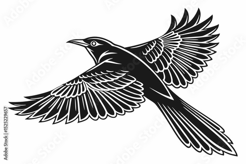 thrush sihouette black vector