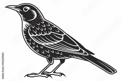 thrush sihouette black vector