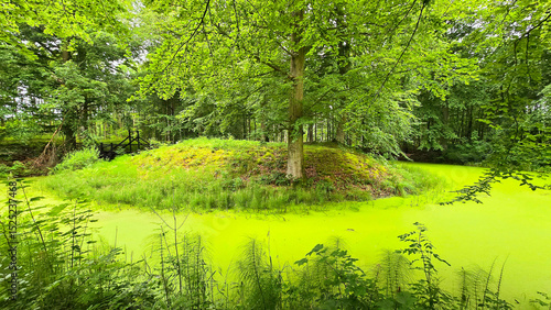 Wallpaper Mural See im Wald in Dänemark Torontodigital.ca