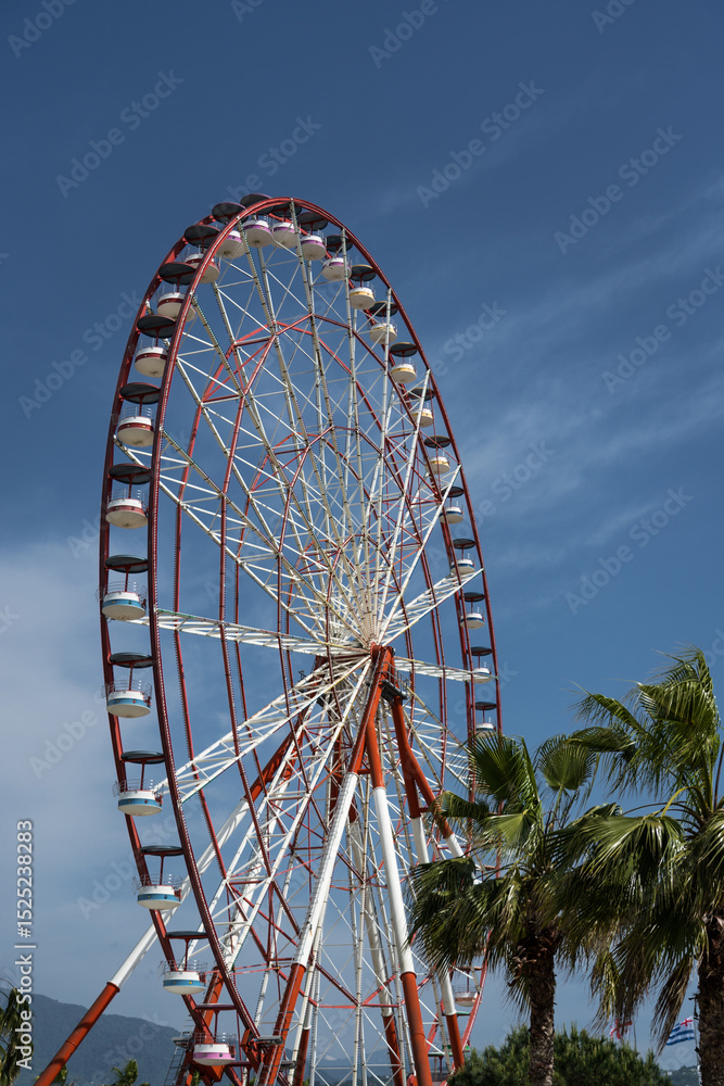 Palm trees on the background of the Ferris wheel in Batumi, Georgia Palm trees on the background of the Ferris wheel in Batumi, Georgia