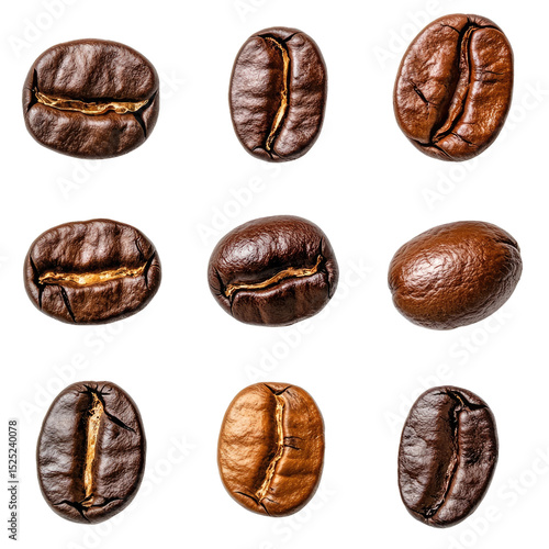 Wallpaper Mural Variety of Coffee Beans in Nine Distinct Arrangements on Black Background Torontodigital.ca