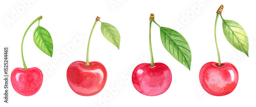 A vibrant watercolor illustration of fresh cherries with green leaves.