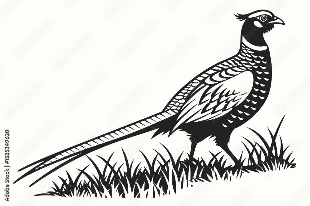 Naklejka premium pheasant sihouette black vector