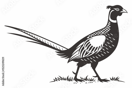 pheasant sihouette black vector