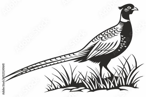 pheasant sihouette black vector