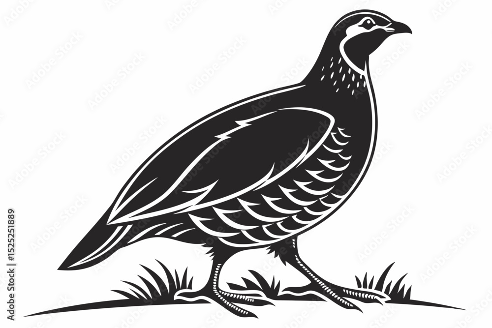 Fototapeta premium partridge silhoette black vector
