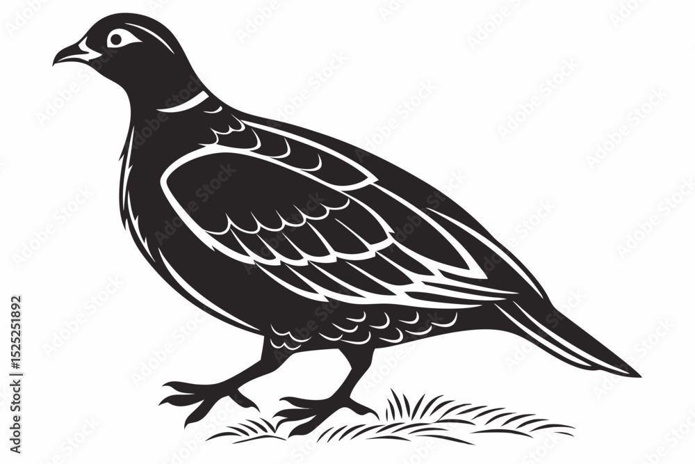 Fototapeta premium partridge silhoette black vector