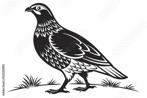 partridge silhoette black vector