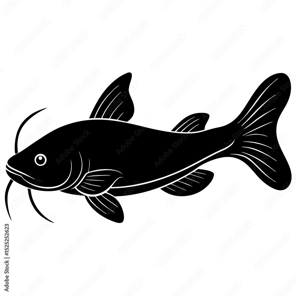 Fototapeta premium fish isolated on white background