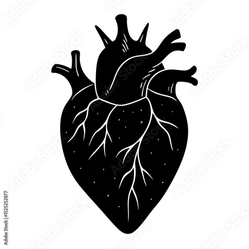 heart shaped fruit