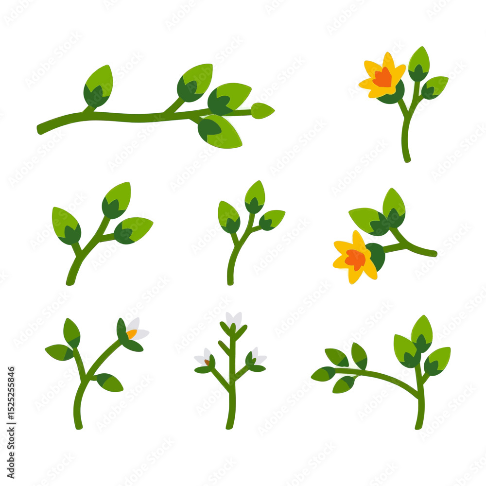 Fototapeta premium plant-branch-flower-leaves-vector-illustration-set-design