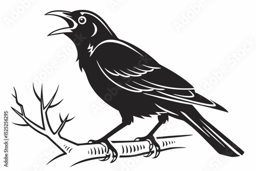 mynah sihouette black vector