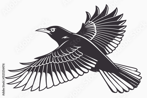 mynah sihouette black vector