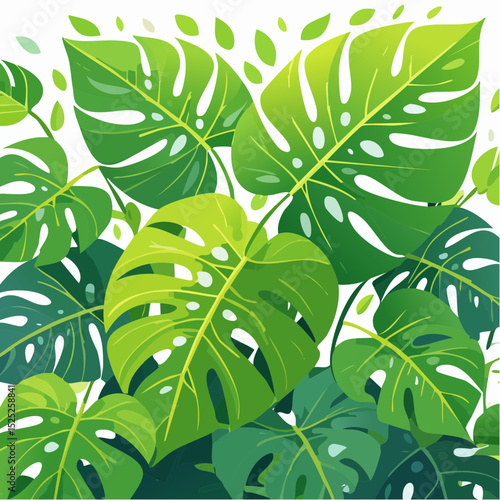 A vibrant illustration showcasing lush green Monstera leaves with their iconic fenestrations, offering a refreshing botanical aesthetic.