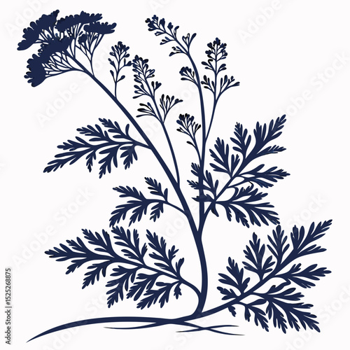 Fotografía black and white wormwood