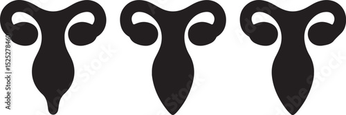 Female Reproductive System Anatomy Illustration Set