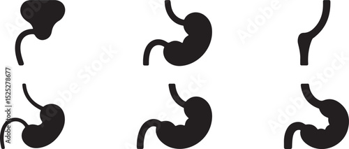 Six Black Silhouettes of Stomach Anatomy Variations