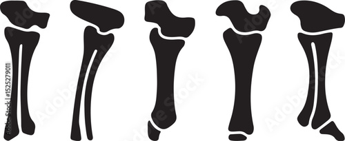 Five Different Styles of Black Silhouette Ankle Bones