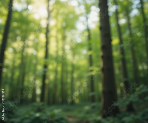 Blurry green forest background nature enviroment 