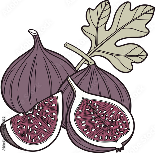 Fresh Figs with Sliced Halves and Leaves Illustration