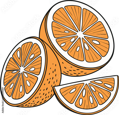 Orange Fruit Slices with Segments and Peel Illustration on White Background