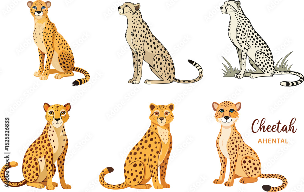 Obraz premium Cheetah cartoon illustration vector design in various sitting poses