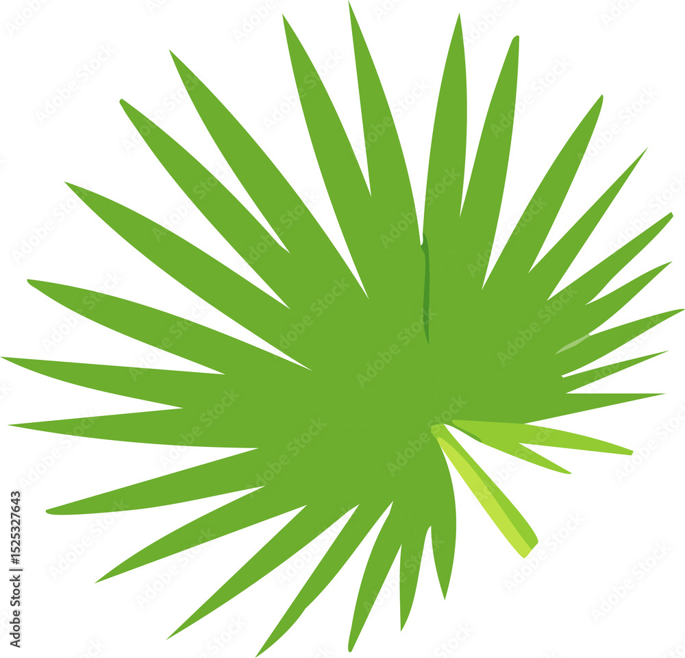 Fototapeta premium Popular Plant Elements