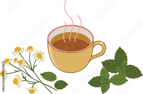 Hot chamomile tea cup with fresh chamomile flowers and green mint leaves vector illustration natural herbal drink 