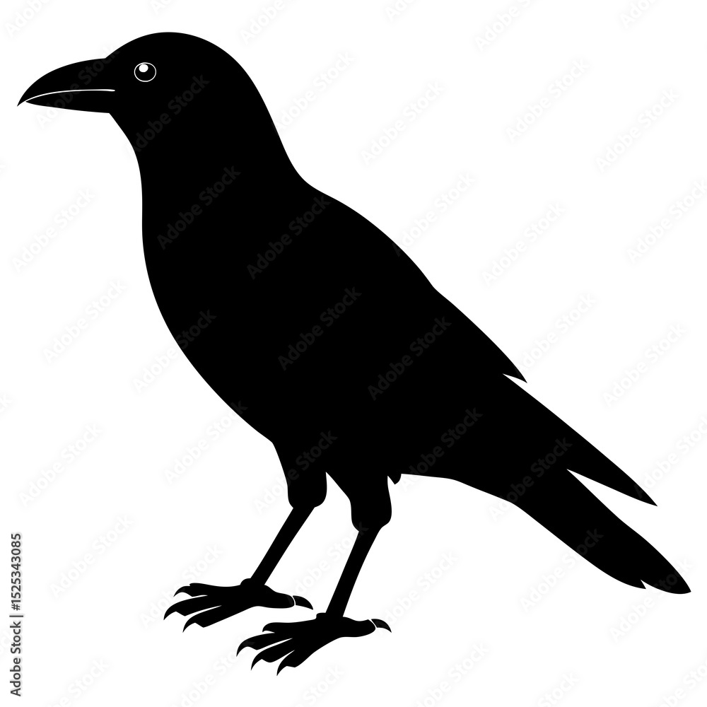 Obraz premium crow on a white background