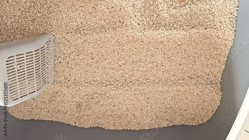 Hand holding plastic scoop above fresh wood pellet cat litter in litter box. Pet hygiene and cleaning routine concept.