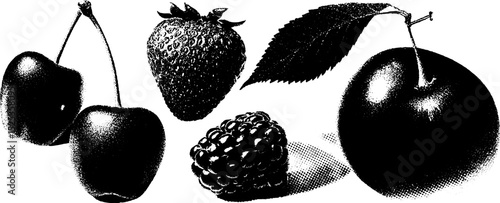 Minimalist fruit engraving with cherries, strawberry, raspberry, and apple in stippling and halftone texture for art design
